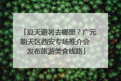 夏天避暑去哪里？广元朝天区西安专场推介会 发布旅游美食线路