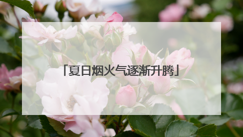夏日烟火气逐渐升腾