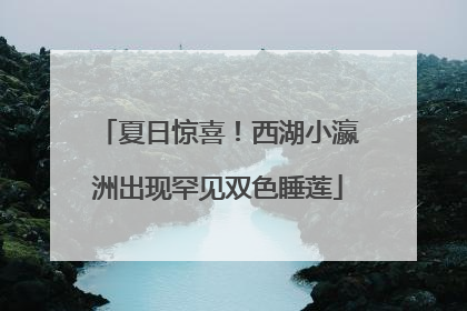 夏日惊喜！西湖小瀛洲出现罕见双色睡莲