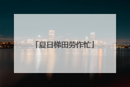 夏日梯田劳作忙