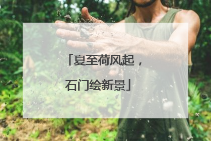 夏至荷风起，石门绘新景