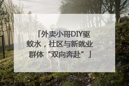 外卖小哥DIY驱蚊水，社区与新就业群体“双向奔赴”