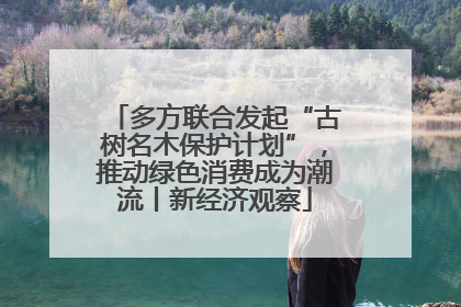 多方联合发起“古树名木保护计划”，推动绿色消费成为潮流丨新经济观察