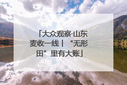 大众观察·山东麦收一线丨“无形田”里有大账