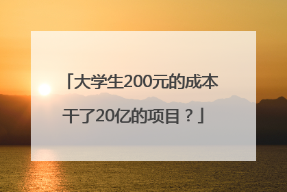 大学生200元的成本干了20亿的项目？
