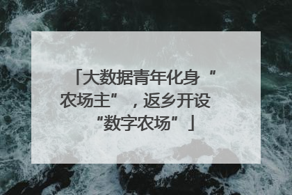 大数据青年化身“农场主”，返乡开设“数字农场”