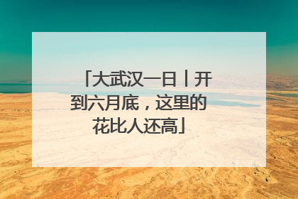 大武汉一日︱开到六月底，这里的花比人还高
