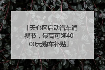 天心区启动汽车消费节，最高可领4000元购车补贴