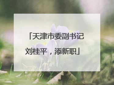 天津市委副书记刘桂平，添新职