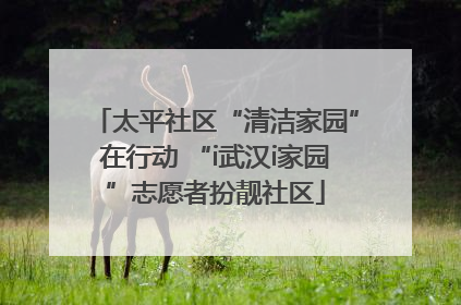 太平社区“清洁家园”在行动 “i武汉i家园”志愿者扮靓社区
