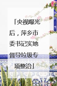 央视曝光后，萍乡市委书记实地督导垃圾专项整治