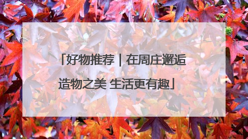 好物推荐｜在周庄邂逅造物之美 生活更有趣