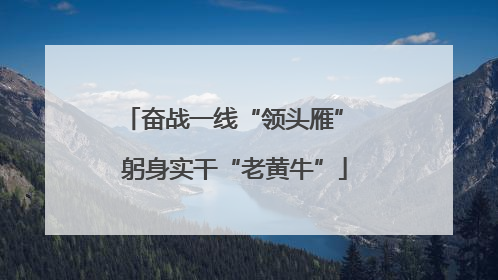 奋战一线“领头雁” 躬身实干“老黄牛”