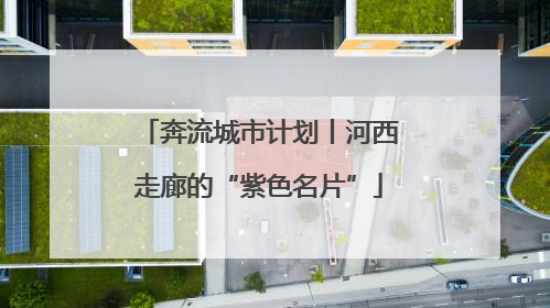 奔流城市计划丨河西走廊的“紫色名片”