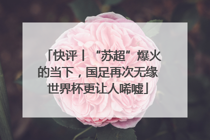 快评丨“苏超”爆火的当下，国足再次无缘世界杯更让人唏嘘