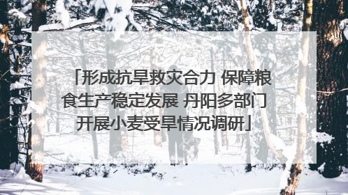 形成抗旱救灾合力 保障粮食生产稳定发展 丹阳多部门开展小麦受旱情况调研