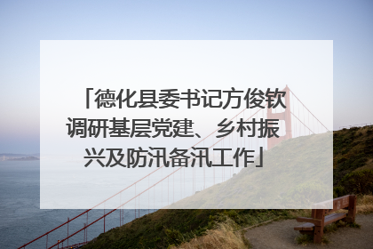 德化县委书记方俊钦调研基层党建、乡村振兴及防汛备汛工作