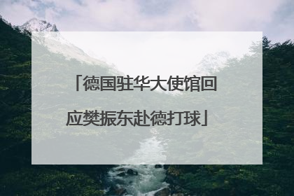 德国驻华大使馆回应樊振东赴德打球