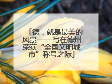 德，就是最美的风景——写在德州荣获“全国文明城市”称号之际