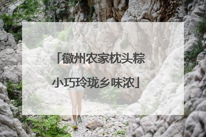 徽州农家枕头粽 小巧玲珑乡味浓