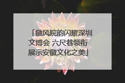 徽风皖韵闪耀深圳文博会 六尺巷领衔展示安徽文化之美