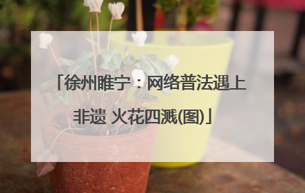 徐州睢宁：网络普法遇上非遗 火花四溅(图)