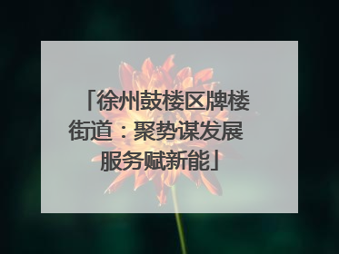 徐州鼓楼区牌楼街道：聚势谋发展 服务赋新能