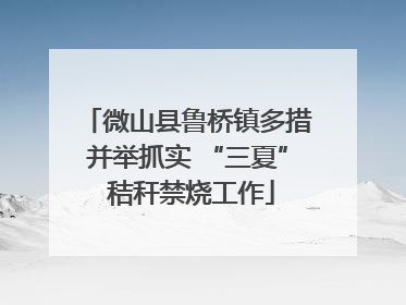 微山县鲁桥镇多措并举抓实 “三夏” 秸秆禁烧工作