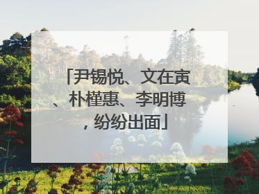 尹锡悦、文在寅、朴槿惠、李明博，纷纷出面