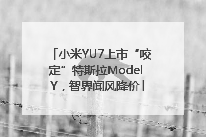 小米YU7上市“咬定”特斯拉Model Y，智界闻风降价