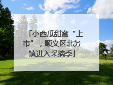 小西瓜甜蜜“上市”，顺义区北务镇进入采摘季