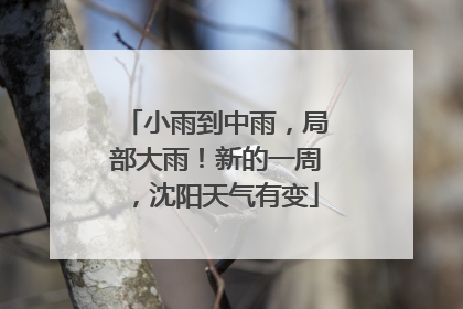 小雨到中雨，局部大雨！新的一周，沈阳天气有变