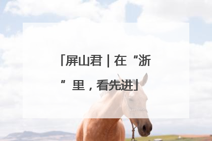 屏山君｜在“浙”里，看先进