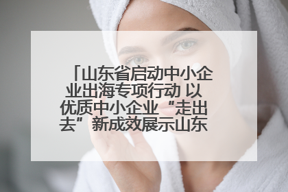 山东省启动中小企业出海专项行动 以优质中小企业“走出去”新成效展示山东产业发展新形象