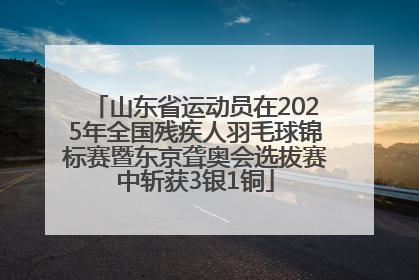 山东省运动员在2025年全国残疾人羽毛球锦标赛暨东京聋奥会选拔赛中斩获3银1铜