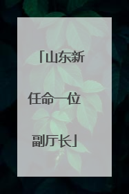 山东新任命一位副厅长