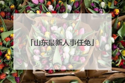 山东最新人事任免