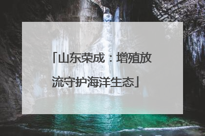 山东荣成：增殖放流守护海洋生态