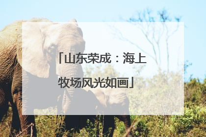 山东荣成：海上牧场风光如画