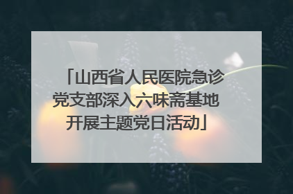 山西省人民医院急诊党支部深入六味斋基地开展主题党日活动
