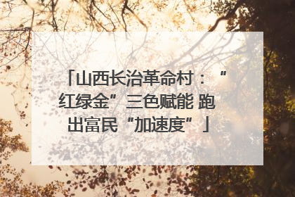 山西长治革命村：“红绿金”三色赋能 跑出富民“加速度”