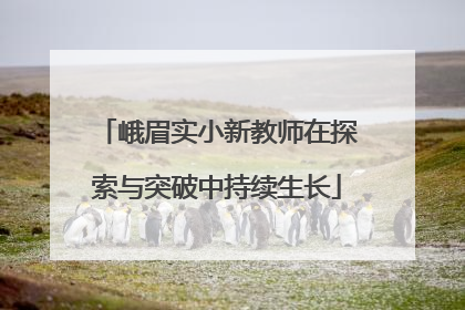 峨眉实小新教师在探索与突破中持续生长