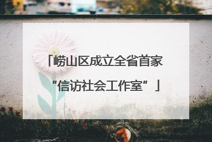 崂山区成立全省首家“信访社会工作室”