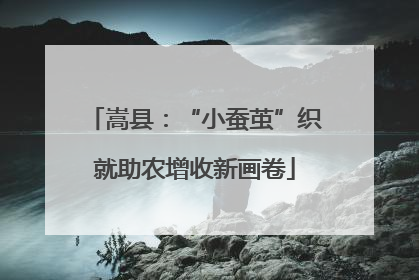 嵩县：“小蚕茧”织就助农增收新画卷