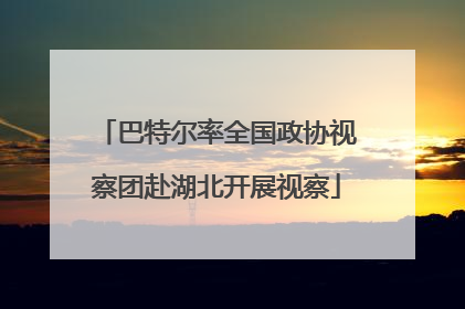 巴特尔率全国政协视察团赴湖北开展视察