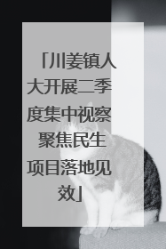 川姜镇人大开展二季度集中视察 聚焦民生项目落地见效