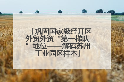 巩固国家级经开区外贸外资“第一梯队”地位——解码苏州工业园区样本