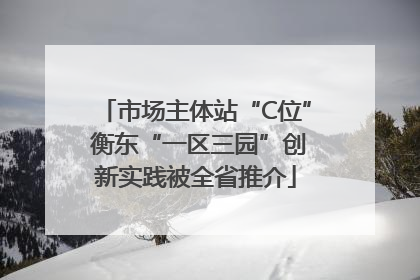 市场主体站“C位” 衡东“一区三园”创新实践被全省推介