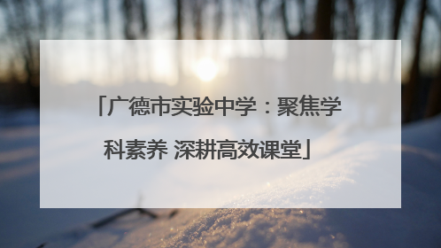 广德市实验中学：聚焦学科素养 深耕高效课堂
