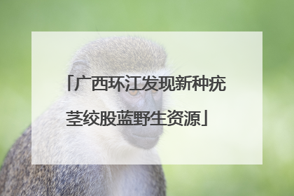 广西环江发现新种疣茎绞股蓝野生资源